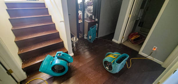 Best 24/7 water damage repair  in Raton, NM