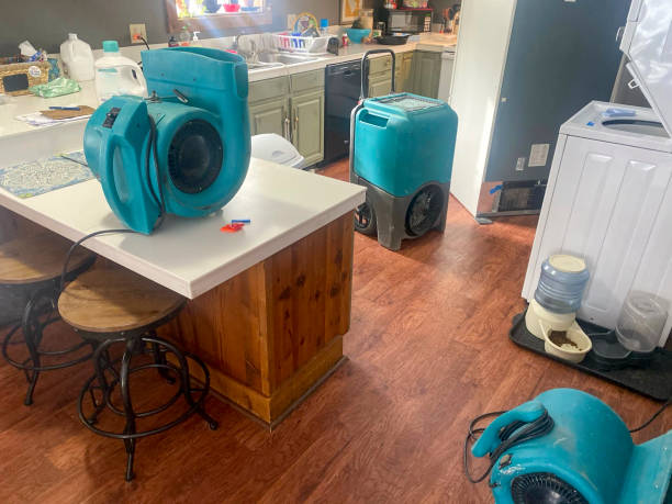 Best Ceiling water damage repair  in Raton, NM