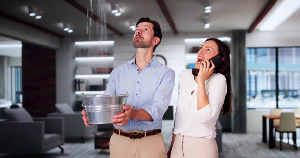 Best Carpet water damage restoration  in Raton, NM